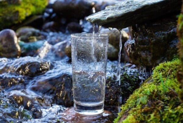 A glass of water is sitting on the rocks