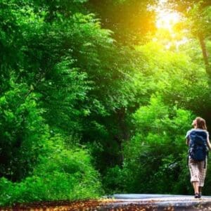 A person walking on the side of a road near trees.