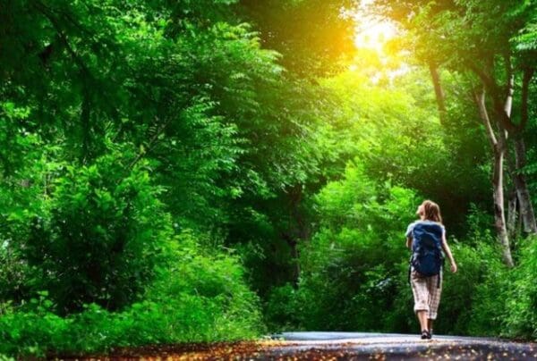 A person walking on the side of a road near trees.