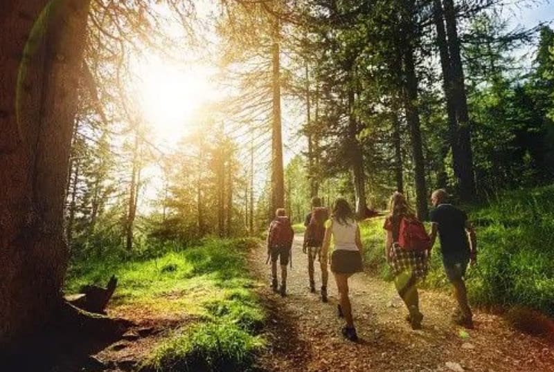 A group of people walking in the woods